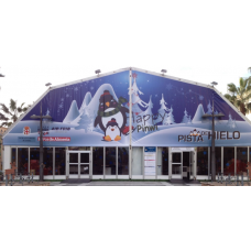 Pista de hielo natural